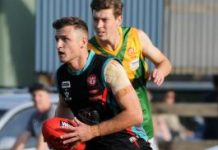 The Road Runner cuts loose