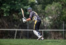 Tigers name new leader