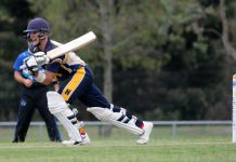 Movement galore in the DDCA