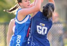 The Tigers are roaring