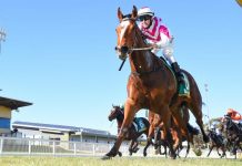 Happy days for Huglin