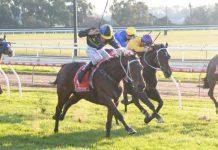 The Plymouth path to success