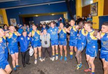 Bulls in stirring form