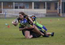 Electric Eels are on the right track