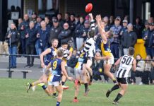 Has the Beacy lid blown off?