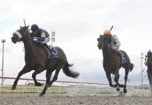 Spain steals the spotlight