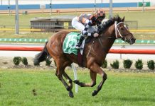 Blazerro heads for the big time