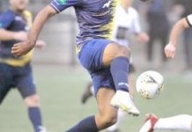 Cougars no match for Panthers