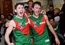 Seagulls claim their biggest scalp