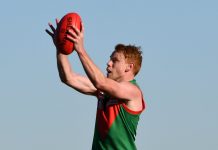 Hey Stewie, it’s my Brussels sprout!