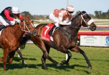 Caviar’s invincible return to the track