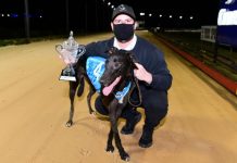 Classic Cranbourne win for Kiwi