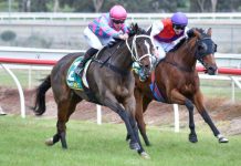 Youngsters get taste of the track