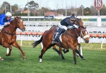 Talent runs in the family