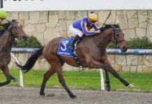 Tucker’s love is Full of Theories