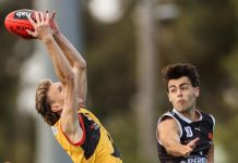 Local stars named for Combine