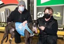 Clark proud of Kuro Kismet’s start