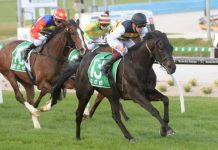 Cranbourne Cup: Win and you’re in!