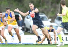 Local stars make the cut