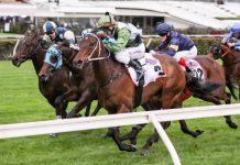 Incentivise on track for cup glory