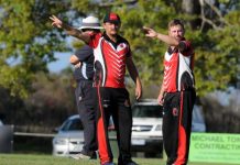 Bulls are ready for the ride