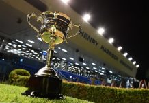 Greyhound clubs lead the way
