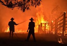 Plan now to reduce bushfire impact