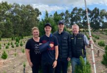 Christmas tree winners