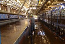 Dairy shed water usage: how much do you use?