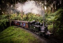Window seat experience to return for Puffing Billy