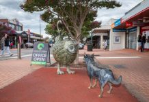 Supporting local businesses in Cardinia