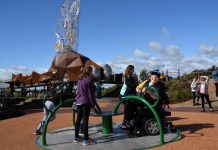 Explore the wonders of your backyard