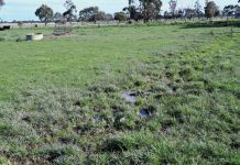 Grassland Society returns to in-person conference