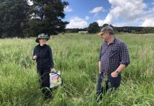 Cultivation calculator for better pastures