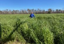 Formula for on-farm success