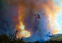 Fire stories collated