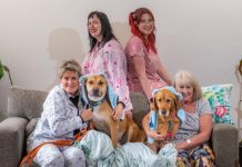 Snooze with the pooches