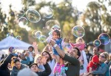 Lanterns light up family festival