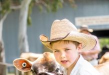 Show springs back for 150th