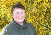 Q and A with Together We Can facilitator Fiona Cost