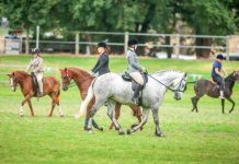 Bring the family to the Lang Lang Show