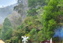 Come and experience Walhalla Goldfields Railway