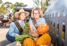 Giant pumpkin competition