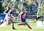 GippPOWER_339169_23.jpg