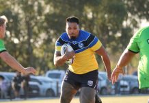 Electrifying Eels bounce back strongly