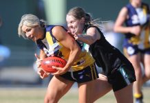 Eagles wilt but opportunity still Knox