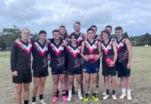 The Devon Meadows dozen