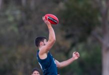 Berwick battered in bruising display