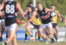 Eagles bitten by Sharks