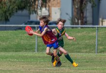 Archie kicks five for Lions